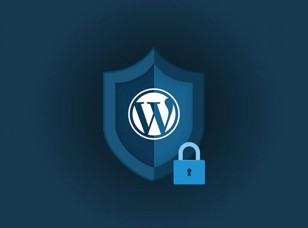 Securing the WordPress Admin Area
